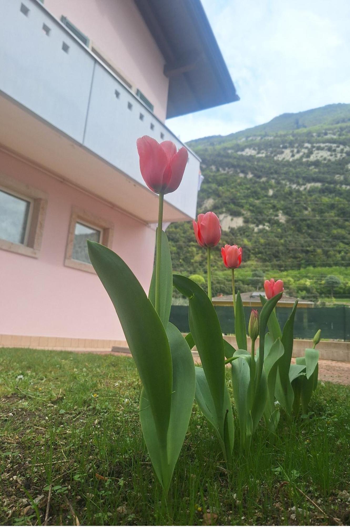 Casa 'rosa Dei Laghi' Habitación en casa particular